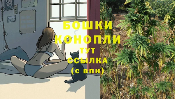 дурь Пересвет